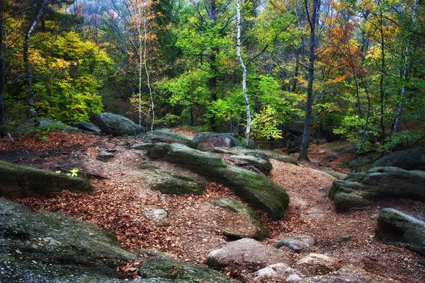 Sgombero nella foresta montana autunnale — Foto Stock