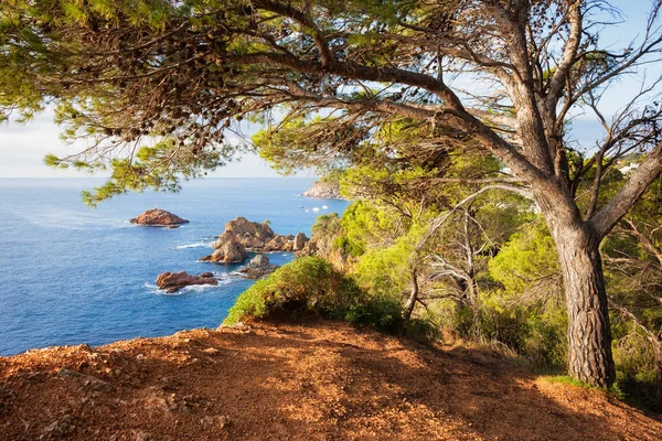 Costa Brava am Mittelmeer in Spanien — Stockfoto