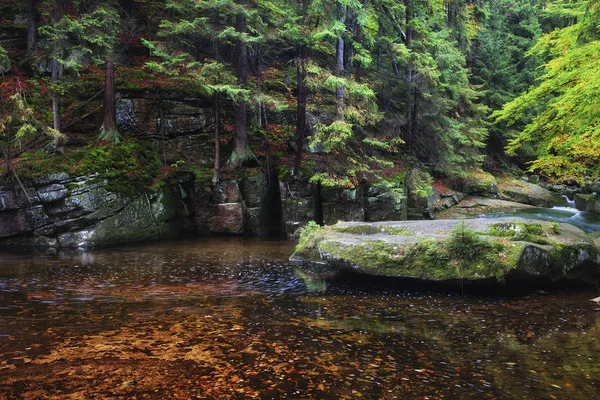 Stream i Karkonosze-bergen — Stockfoto