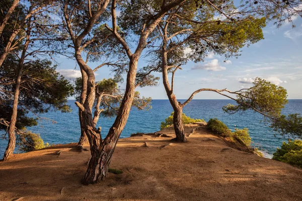 Aussichtspunkt auf der Klippe am Mittelmeer — Stockfoto