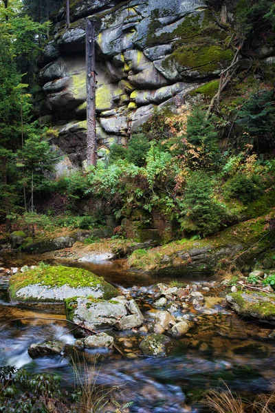 Cliffside Stream in the Mountains — Stock Photo, Image