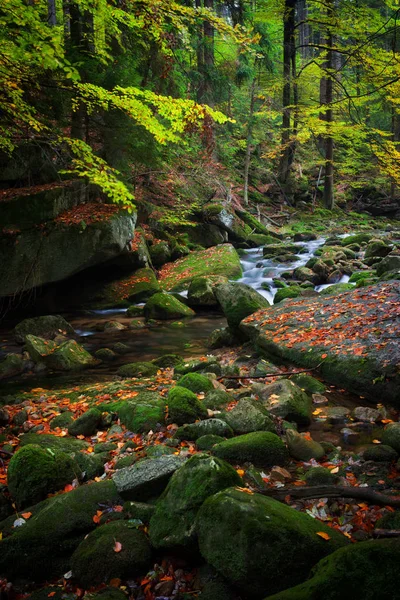Corriente Forestal en el Parque Nacional Karkonosze — Foto de Stock