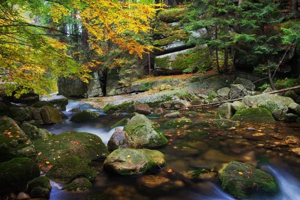 Arroyo en bosque de montaña de otoño — Foto de Stock