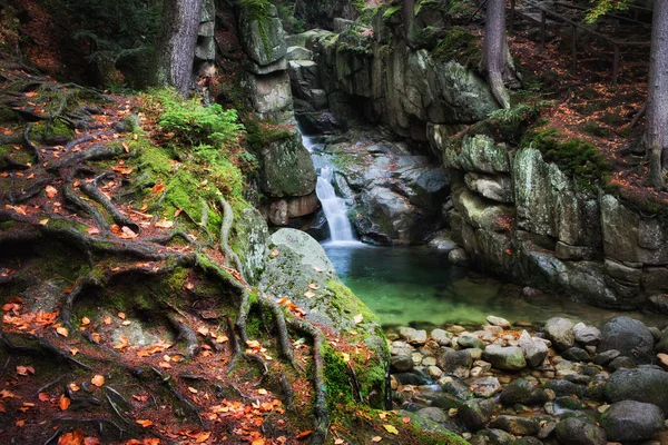 陶醉森林中的瀑布 — 图库照片