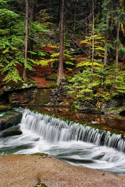 Stream With Water Cascade In Autumn Forest — Stock Photo, Image