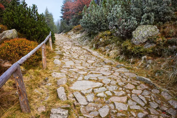 Камінь шлях у високих горах осінь — стокове фото