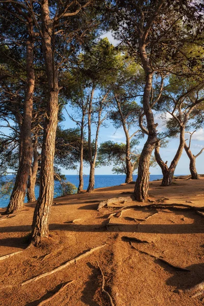 Sonnenuntergang an der Costa Brava in Spanien — Stockfoto