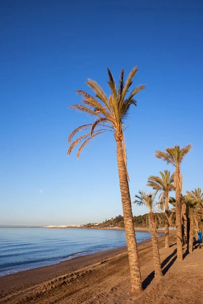 Praia de Marbella com palmeiras — Fotografia de Stock