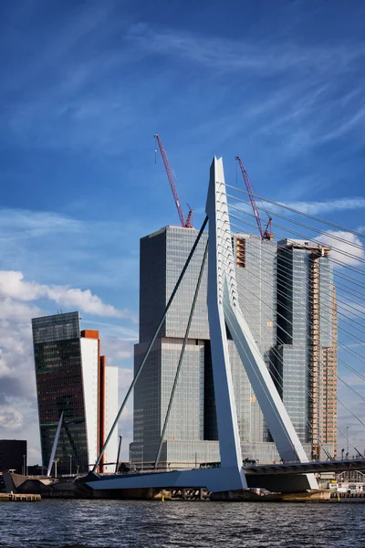 Στο κέντρο της πόλης στον ορίζοντα της πόλης του Ρότερνταμ — Φωτογραφία Αρχείου
