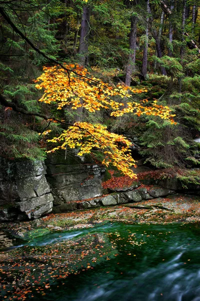 Creek en las montañas de Karkonosze — Foto de Stock