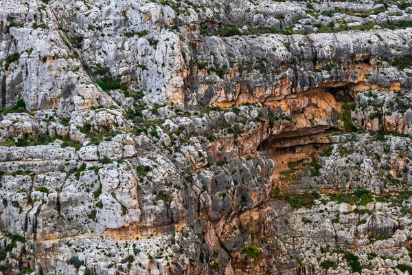 Sea Cliff bakgrund eller struktur — Stockfoto