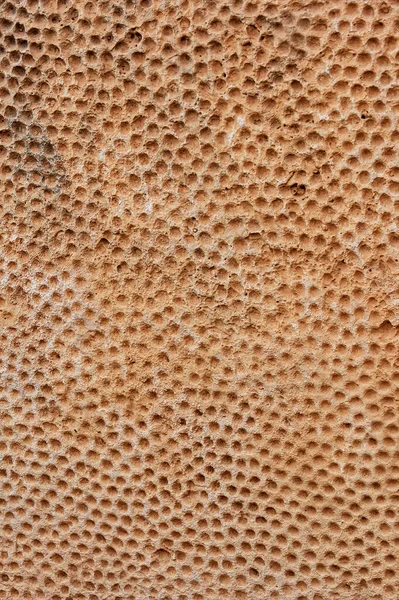 Dressed Limestone Megalith Carved Thousands Holes Abstract Background Texture Mnajdra — Stock Photo, Image