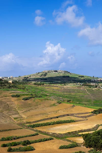 マルタのゴゾ島にフィールドと牧草地の風景 — ストック写真