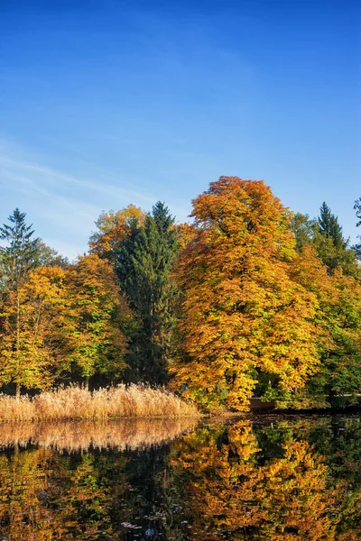 秋の紅葉と湖 ポーランドのワルシャワのLazienki公園の牧歌的な風景 — ストック写真