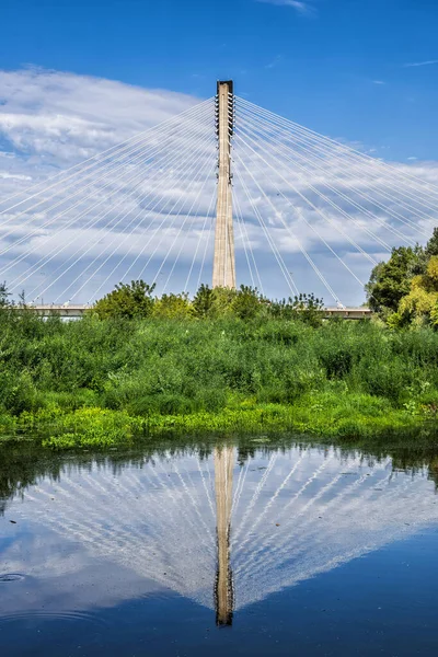Warszawa Polen Augusti 2019 Swietokrzyski Bridge Holy Cross Bridge Över — Stockfoto