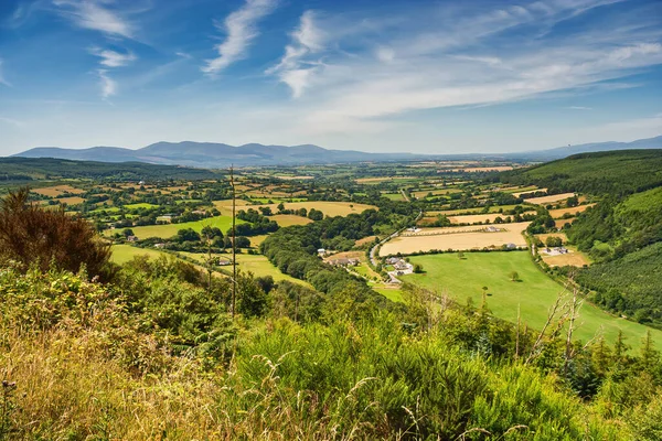 アイルランドの郡の旅程の風景 フィールドと草原とアイルランドの田舎 マンスターの州 — ストック写真