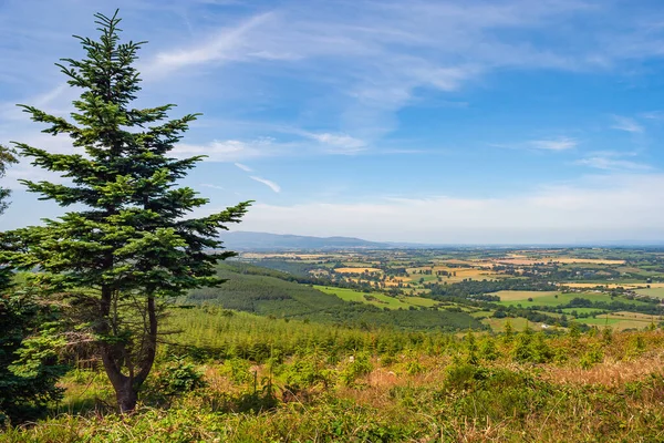Peisaj Rural Irlandez Comitatul Tipperary Irlanda Câmpuri Pajiști Pădure Vedere — Fotografie, imagine de stoc