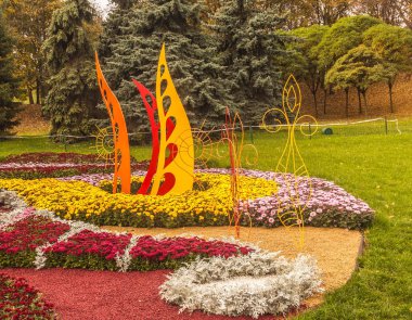 Ukrayna, Kiev - 20 Ekim 2017: Spivoche Pole, Kiev, Ukrayna 25 000 kasımpatı çiçekleri 