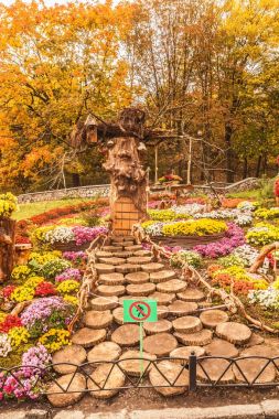 Ukrayna, Kiev - 20 Ekim 2017: Spivoche Pole, Kiev, Ukrayna 25 000 kasımpatı çiçekleri 