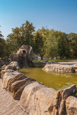 Borispol - Ukrayna, 16 Ağustos 2017: Merkezi Yönetim alanı pınarlarına yazında Borispol (Boryspil), Kiev region, Ukrayna