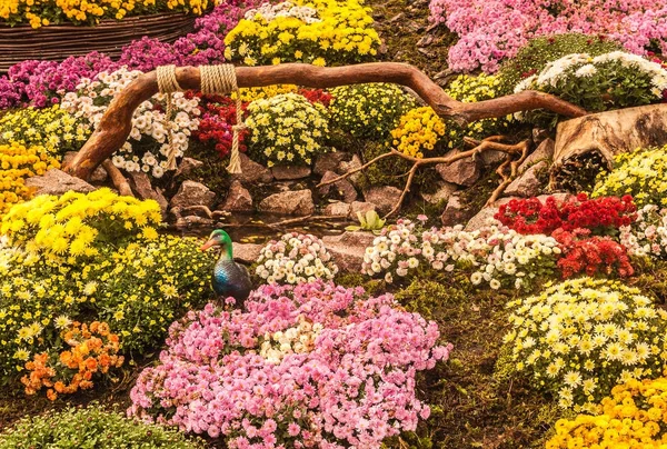 Ucrania Kiev Octubre 2017 Spivoche Pole Una Exposición Flores Fantastic — Foto de Stock