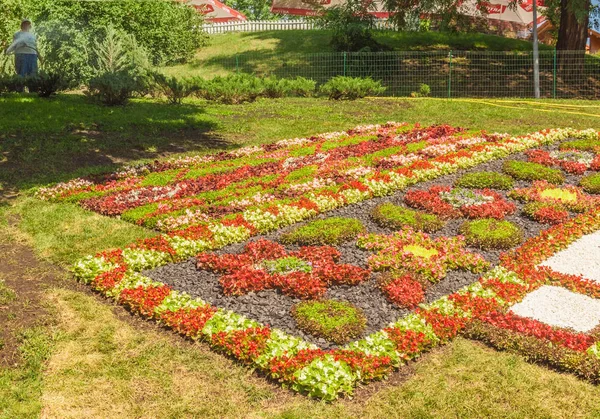 Kyiv Ukraine August 2017 Spivoche Pole Flower Exhibition Name Ukrainian — Stock Photo, Image