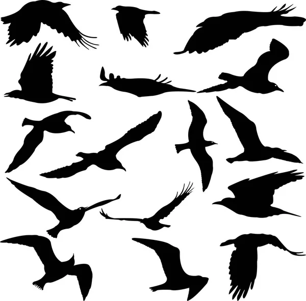 Ptáci siluety collection - vektor Royalty Free Stock Ilustrace