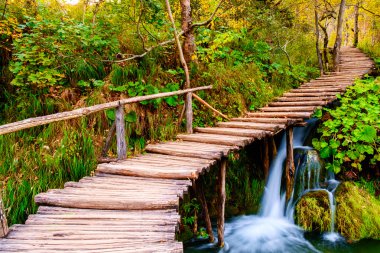 Sahil park Plitvice Gölleri