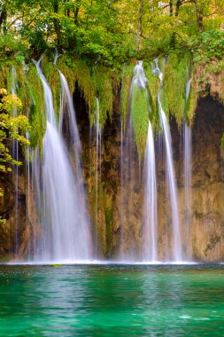 Şelaleler Plitvice Milli Parkı