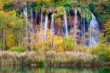Şelaleler Plitvice Milli Parkı