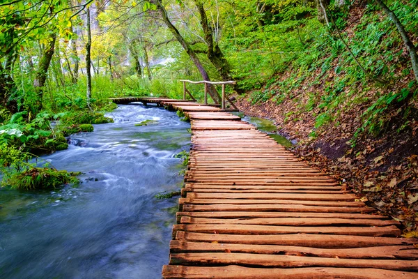 Uferpromenade im Park plitvice Seen — Stockfoto