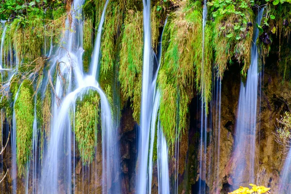 Pięknego wodospadu w parku narodowym Plitvice — Zdjęcie stockowe