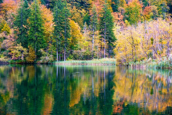 Podzimní lesní jezero Kozjak v Plitvice — Stock fotografie