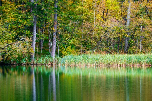 Lago florestal Autum Kozjak em Plitvice — Fotografia de Stock