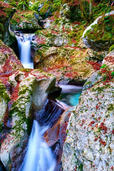 Mountain creek i dalen Lepena — Stockfoto