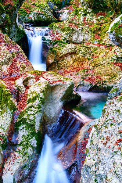 Ruisseau de montagne dans la vallée de Lepena — Photo