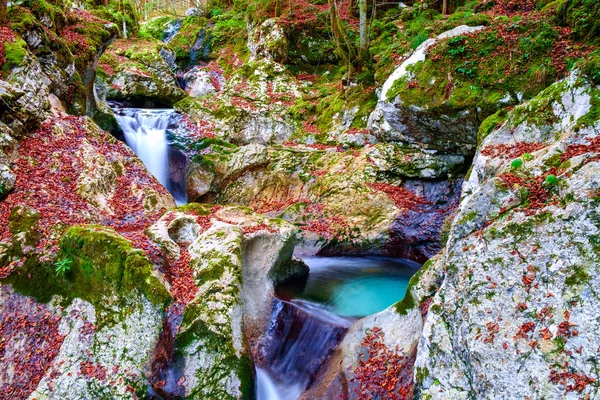 Ruisseau de montagne dans la vallée de Lepena — Photo