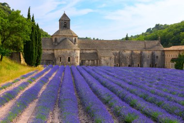 Eski bir manastır Abbaye Notre-Dame de Senanque