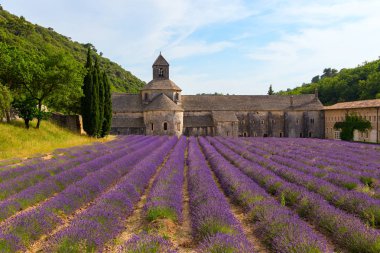 An ancient monastery Abbaye Notre-Dame de Senanque clipart