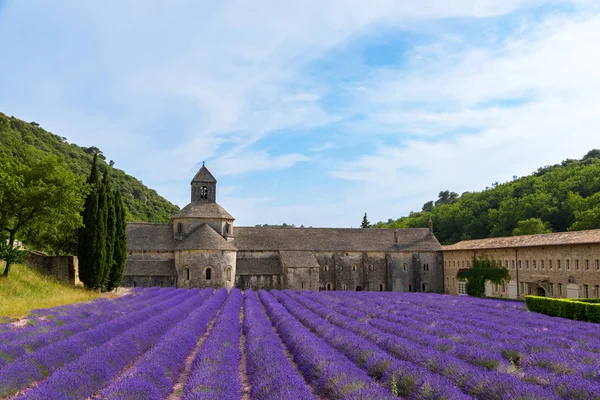 Starożytny klasztor Abbaye Notre-Dame de Senanque — Zdjęcie stockowe