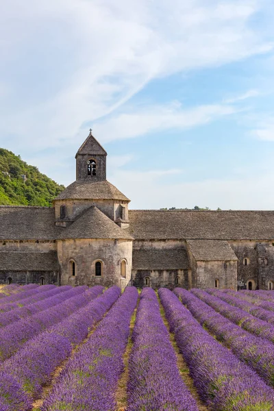 Een oud klooster Abbaye Notre-Dame de Senanque — Stockfoto