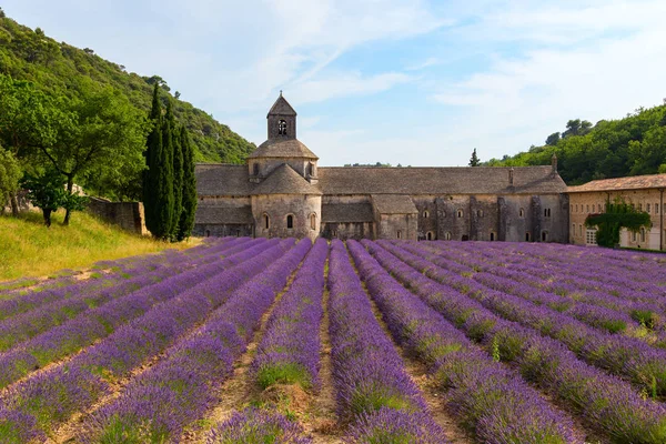 Ett gammalt kloster Abbaye Notre-Dame de Senanque — Stockfoto