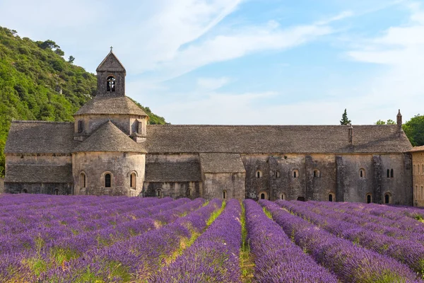 Um antigo mosteiro Abbaye Notre-Dame de Senanque — Fotografia de Stock