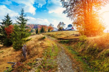 Karpatlar dağ Transilvanya sabah