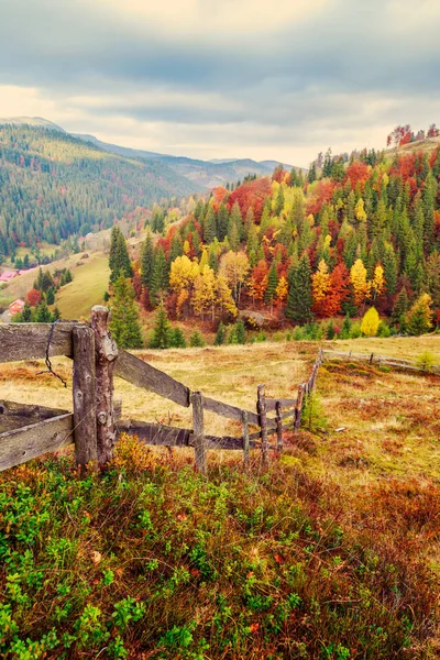 Nádherné podzimní svah v Transylvánii — Stock fotografie
