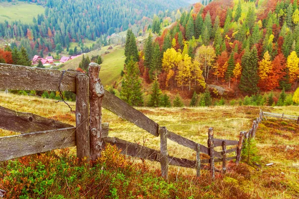 Kleurrijke herfst landschap scène met hek in Transsylvanië — Stockfoto