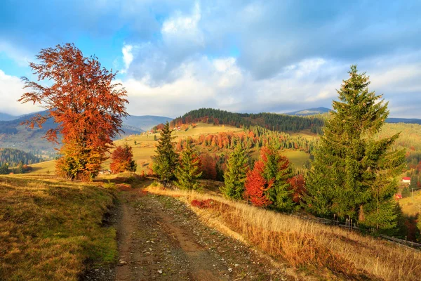 Mañana en Cárpatos montaña Transilvania — Foto de Stock