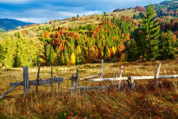 Scena variopinta di paesaggio autunnale con recinzione in Transilvania — Foto Stock