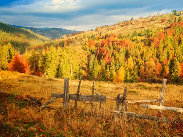 Barevný podzimní krajina scéna s plotem v Transylvánii — Stock fotografie