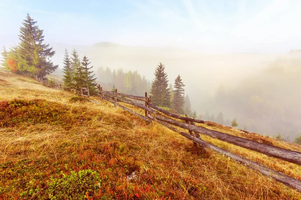 Scena variopinta di paesaggio autunnale con recinzione in Transilvania — Foto Stock